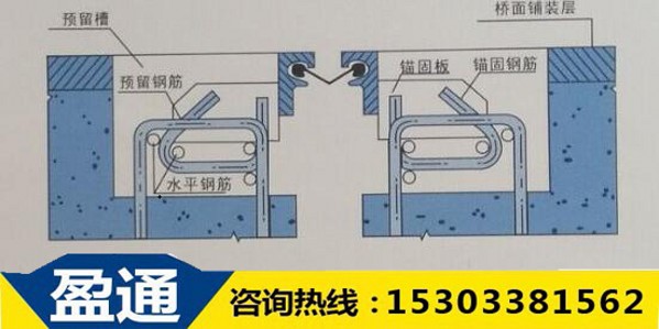 F型立面圖.jpg